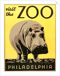 Visit the Zoo poster with hippopotamus by Anonymous