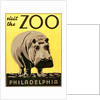 Visit the Zoo poster with hippopotamus by Anonymous