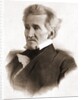Portrait of Andrew Jackson by Anonymous