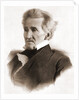 Portrait of Andrew Jackson by Anonymous