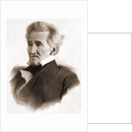 Portrait of Andrew Jackson by Anonymous