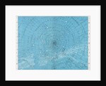 Star map with the South Pole, Phoenix, and Centaurus by Anonymous