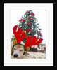 Sleeping Beagle Dog Wearing Christmas Antlers by Anonymous