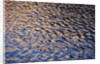 Reflection of red rock on Lake Powell at sunset by Anonymous