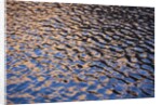 Reflection of red rock on Lake Powell at sunset by Anonymous