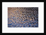 Reflection of red rock on Lake Powell at sunset by Anonymous