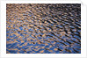 Reflection of red rock on Lake Powell at sunset by Anonymous