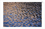 Reflection of red rock on Lake Powell at sunset by Anonymous