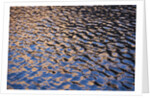 Reflection of red rock on Lake Powell at sunset by Anonymous