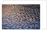 Reflection of red rock on Lake Powell at sunset by Anonymous