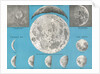 Illustration of the full moon and phases of the moon by Anonymous