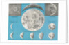 Illustration of the full moon and phases of the moon by Anonymous
