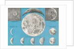 Illustration of the full moon and phases of the moon by Anonymous