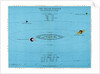 Illustration of the Solar System and distances of the planets from the sun by Anonymous