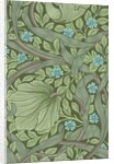 William Morris wallpaper sample with Forget-Me-Nots by Anonymous