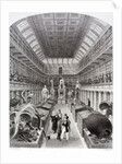 Hunterian Museum at the Royal College of Surgeons by Anonymous