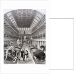 Hunterian Museum at the Royal College of Surgeons by Anonymous