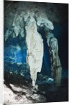 Stalactites in Gran Cenote, Tulum, Yucatan Peninsula, Mexico by Anonymous