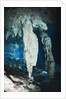 Stalactites in Gran Cenote, Tulum, Yucatan Peninsula, Mexico by Anonymous