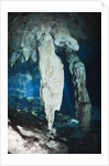 Stalactites in Gran Cenote, Tulum, Yucatan Peninsula, Mexico by Anonymous