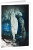 Stalactites in Gran Cenote, Tulum, Yucatan Peninsula, Mexico by Anonymous