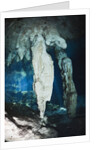 Stalactites in Gran Cenote, Tulum, Yucatan Peninsula, Mexico by Anonymous