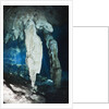 Stalactites in Gran Cenote, Tulum, Yucatan Peninsula, Mexico by Anonymous