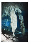Stalactites in Gran Cenote, Tulum, Yucatan Peninsula, Mexico by Anonymous