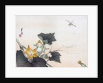 Dragonfly and a Pumpkin Blossom by Ogata Gekko