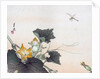 Dragonfly and a Pumpkin Blossom by Ogata Gekko