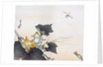 Dragonfly and a Pumpkin Blossom by Ogata Gekko