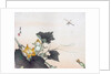 Dragonfly and a Pumpkin Blossom by Ogata Gekko