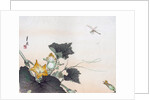 Dragonfly and a Pumpkin Blossom by Ogata Gekko