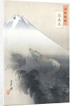 Dragon Rising to the Heavens by Ogata Gekko