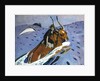 The Rape of Europa by Valentin Serov