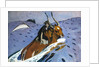 The Rape of Europa by Valentin Serov