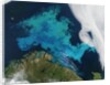 Phytoplankton bloom in the Barents Sea by Anonymous