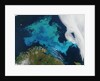 Phytoplankton bloom in the Barents Sea by Anonymous