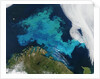 Phytoplankton bloom in the Barents Sea by Anonymous