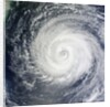 Typhoon Muifa in the Philippine Sea by Anonymous