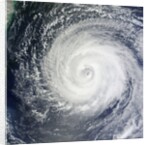 Typhoon Muifa in the Philippine Sea by Anonymous