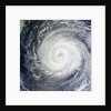 Typhoon Muifa in the Philippine Sea by Anonymous