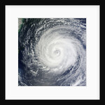 Typhoon Muifa in the Philippine Sea by Anonymous