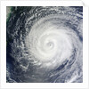 Typhoon Muifa in the Philippine Sea by Anonymous