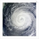 Typhoon Muifa in the Philippine Sea by Anonymous