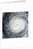 Typhoon Muifa in the Philippine Sea by Anonymous