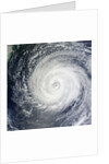 Typhoon Muifa in the Philippine Sea by Anonymous