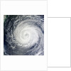 Typhoon Muifa in the Philippine Sea by Anonymous