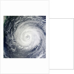 Typhoon Muifa in the Philippine Sea by Anonymous