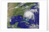 Hurricane Irene on August 26, 2011 by Anonymous